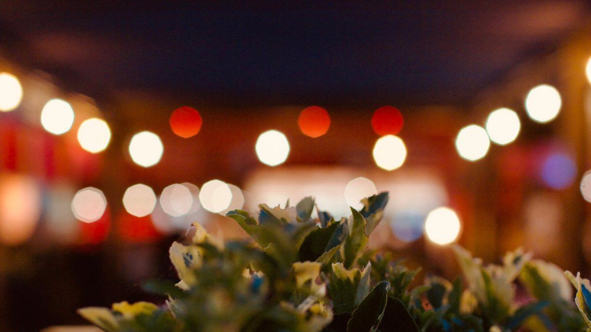 Festoon lights glowing over the deck at night, planting in the foreground
